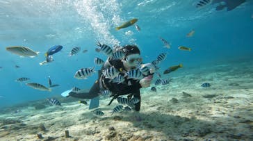 青の洞窟専門店　沖縄ダイビングショップ和に投稿された画像（2022/11/4）