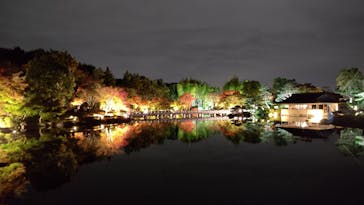 国営昭和記念公園 秋の夜散歩に投稿された画像（2022/11/4）