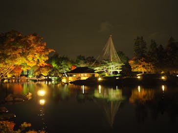 国営昭和記念公園 秋の夜散歩に投稿された画像（2022/11/4）