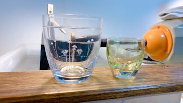 創吉に投稿された画像（2022/11/4）