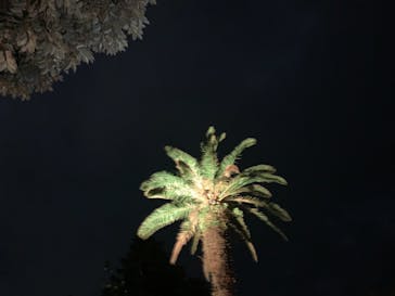 江の島シーキャンドルに投稿された画像（2022/11/4）