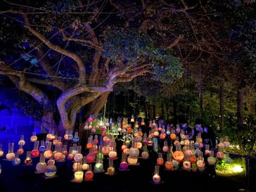 江の島シーキャンドルに投稿された画像（2022/11/4）