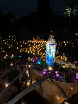 江の島シーキャンドルに投稿された画像（2022/11/4）