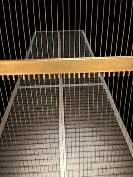 グローバルタワーに投稿された画像（2022/11/4）