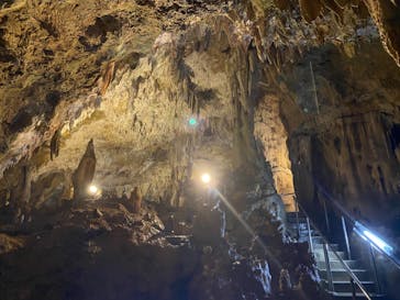 石垣島鍾乳洞に投稿された画像（2022/11/4）