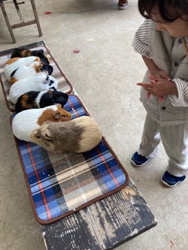 牧歌の里に投稿された画像（2022/11/4）