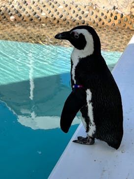 マリンワールド海の中道に投稿された画像（2022/11/4）