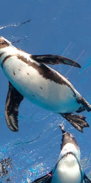 サンシャイン水族館に投稿された画像（2022/11/4）