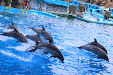 名古屋港水族館に投稿された画像（2022/11/4）