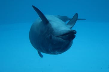 名古屋港水族館に投稿された画像（2022/11/4）