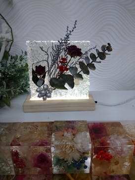 ずこうしつ〜sugamo〜に投稿された画像（2022/11/4）