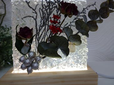 ずこうしつ〜sugamo〜に投稿された画像（2022/11/4）