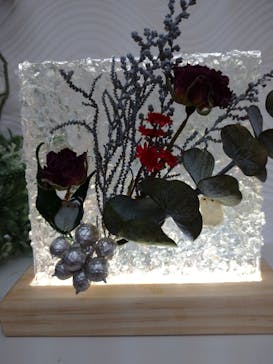 ずこうしつ〜sugamo〜に投稿された画像（2022/11/4）