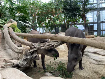 神戸どうぶつ王国に投稿された画像（2022/11/4）