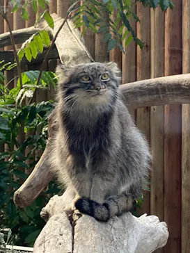 神戸どうぶつ王国に投稿された画像（2022/11/4）