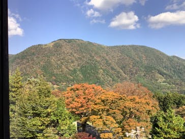 彫刻の森美術館に投稿された画像（2022/11/4）