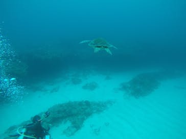 M.a.r.i.n.e Factoryに投稿された画像（2022/11/5）