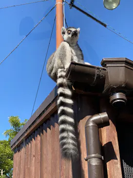 神戸どうぶつ王国に投稿された画像（2022/11/5）