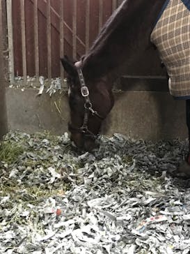 ノーザンホースパークに投稿された画像（2022/11/5）