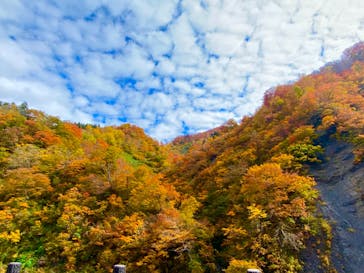 清津峡渓谷トンネルに投稿された画像（2022/11/5）