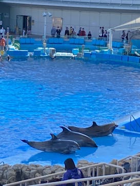 名古屋港水族館に投稿された画像（2022/11/5）