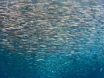 名古屋港水族館に投稿された画像（2022/11/5）