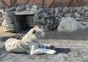東武動物公園に投稿された画像（2022/11/5）