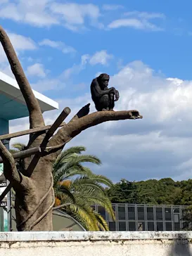 天王寺動物園に投稿された画像（2022/11/5）