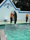 しながわ水族館に投稿された画像（2022/11/5）