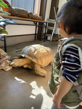 しろとり動物園に投稿された画像（2022/11/5）