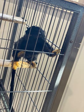 アニタッチみなとみらいに投稿された画像（2022/11/5）