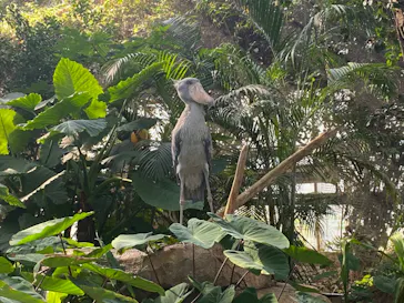 神戸どうぶつ王国に投稿された画像（2022/11/5）