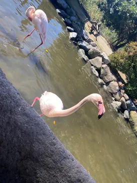 神戸どうぶつ王国に投稿された画像（2022/11/5）