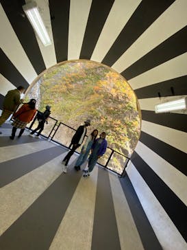 清津峡渓谷トンネルに投稿された画像（2022/11/5）