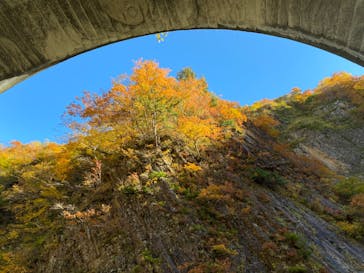 清津峡渓谷トンネルに投稿された画像（2022/11/5）