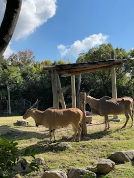 天王寺動物園に投稿された画像（2022/11/5）
