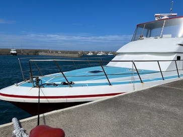 M.a.r.i.n.e Factoryに投稿された画像（2022/11/5）