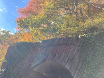 清津峡渓谷トンネルに投稿された画像（2022/11/5）