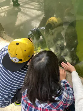 神戸どうぶつ王国に投稿された画像（2022/11/5）