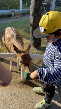 神戸どうぶつ王国に投稿された画像（2022/11/5）