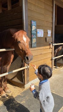 まかいの牧場に投稿された画像（2022/11/5）