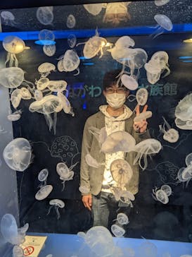 しながわ水族館に投稿された画像（2022/11/5）