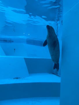 マリンワールド海の中道に投稿された画像（2022/11/5）