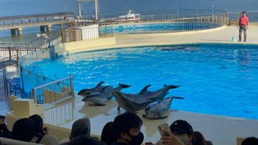 マリンワールド海の中道に投稿された画像（2022/11/5）