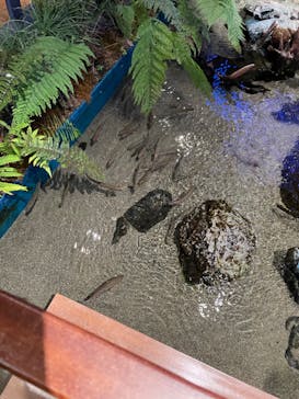 マリンワールド海の中道に投稿された画像（2022/11/5）