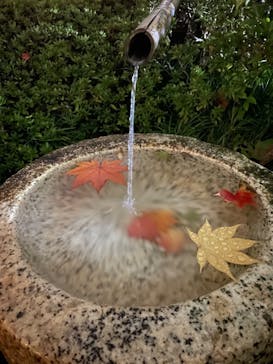 国営昭和記念公園 秋の夜散歩に投稿された画像（2022/11/5）