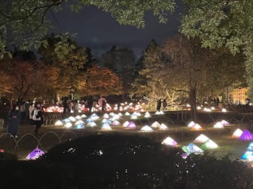 国営昭和記念公園 秋の夜散歩に投稿された画像（2022/11/5）