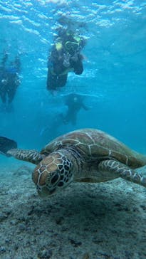 宮古島 ADVENTURE PiPi（ミヤコジマ アドベンチャー ピピ）に投稿された画像（2022/11/5）