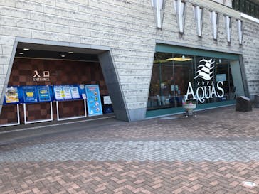 島根県立 しまね海洋館に投稿された画像（2022/11/5）