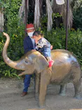 天王寺動物園に投稿された画像（2022/11/5）
